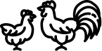Chickens Icon